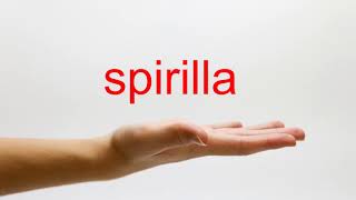 How to Pronounce spirilla  American English [upl. by Maletta]