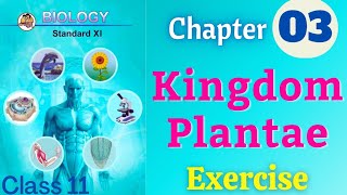 Kingdom Plantae class 11 biology chapter 3 exercise solutions [upl. by Corder703]