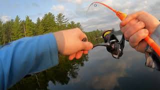 ashby lake part 2 smallmouth smash fest [upl. by Aramad]