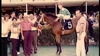 Unbelievable true story behind a jockeys life 1 of 3 [upl. by Merilyn]