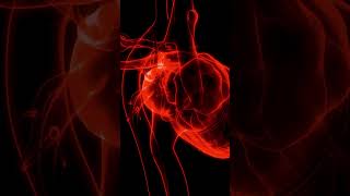 Normal Heart Sound vs Pulmonary Stenosis [upl. by Ytsirk]