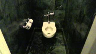 Bathroom Tour American Standard Toilet and Urinal Ritz Carlton Hotel Clayton MO [upl. by Ondine170]