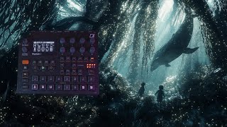 whale kids on DIGITAKT II [upl. by Gnoh]