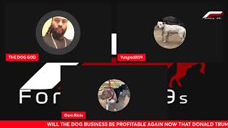 WILL THE DOG BUSINESS BE PROFITABLE AGAIN NOW THAT DONALD TRUMP IS PRESIDENT EPISODE 59 [upl. by Forkey200]