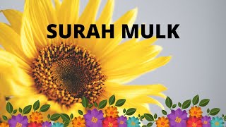 Surah Mulk  11 TIMES WITH NATURAL VIDEOS [upl. by Alberik855]