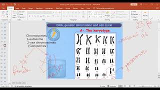 Grade 11  karyotype part 2 [upl. by Auof]