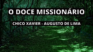 O Doce Missionário  Mensagem do Livro Parnaso de Além Túmulo  Inspirações Espíritas [upl. by Ailegna832]