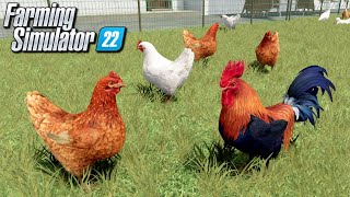 Hodowla kur 🐔  Farming Simulator 22  12 [upl. by Faith]