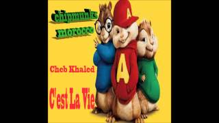 moroccan chipmunks songs cheb khaledCest la vie [upl. by Laleb]