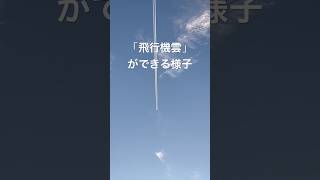 飛行機雲ができる様子 飛行機雲 飛行機 ジェットストリーム 雲 三原市 [upl. by Nary]