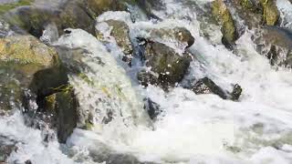 Beautiful River Flowing Music heals everything [upl. by Yrevi]