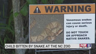 Child bit by copperhead snake at North Carolina Zoo in Asheboro [upl. by Forrest]