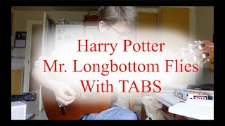 Harry Potter Mr Longbottom Flies Guitar Cover  With TABS [upl. by Thapa]