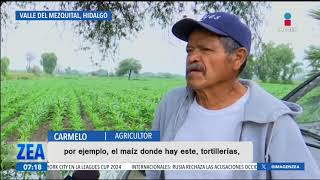 Cultivos en Tula Hidalgo son regados con aguas negras que llegan del Valle de México  Paco Zea [upl. by Leola]