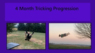 My 4 Month Tricking Progression [upl. by Mikol]