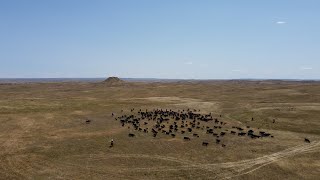 Women in Ranching  Gillette Wyoming [upl. by Leafar]