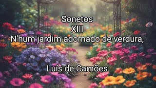 Luís de Camões  Sonetos XIII  Nhum jardim adornado de verdura [upl. by Baerl]