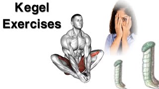 Kegel Exercises  Pelvic Floor Muscles  Yoga [upl. by Bum765]