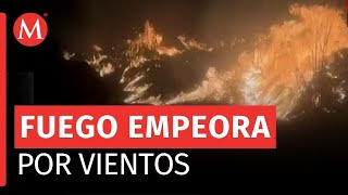 Reportan incendios forestales que afectaron 700 hectáreas en Veracruz [upl. by Joh451]