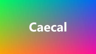 Caecal  Medical Meaning and Pronunciation [upl. by Sallyann773]