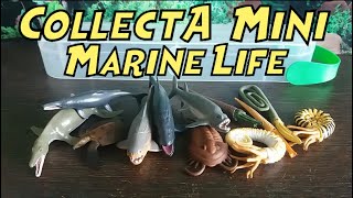 CollectA Box of Mini Prehistoric Marine Animals  Prehistoric Reviews [upl. by Elaynad]