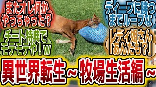 「転生したらアドマイヤジャパンだった件～今日ものんびりゆったり牧場生活を満喫～」に対するみんなの反応【競馬の反応集】 [upl. by Moazami]