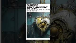 Birdee  Dont You Want My Love The Coney Island Rhythm Band Remix 2024 housemusic new [upl. by Edla]