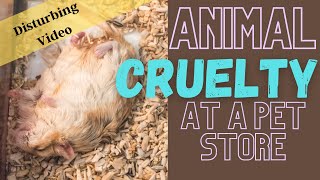 SHOCKING Animal Cruelty EXPOSED At A Pet Store  Small Animal Abuse  Hamster Inhumane Treatment [upl. by Vallie733]