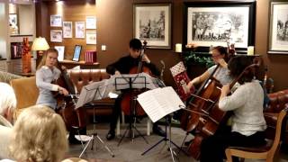 Pirates of the Caribbean  Cello Quartet [upl. by Nesila]