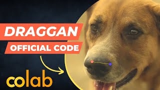 drag your GAN Official code Installation Guide  Google Colab Tutorial  DragGAN GitHub [upl. by Hadihsar]