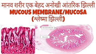 Mucous Membrane in Hindi  श्लेष्मा झिल्ली  Mucosa  Defination and Types [upl. by Penney]