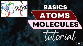 Atoms and Molecules  Atoms and Molecules Related Information  class 11th Chemistry [upl. by Adekan]