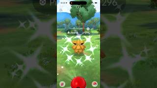 Pokémon GO Catching Shiny Pineco [upl. by Myrilla557]