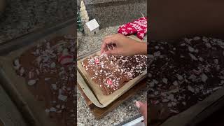 Peppermint Bark 🤍❤️🎄chocolatepeppermint peppermintmocha christmas christmasfood easyrecipe [upl. by Muslim983]