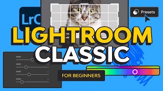 Lightroom Classic Tutorial for Beginners  FREE COURSE [upl. by Kalfas]