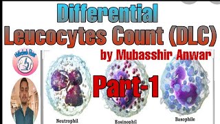 Differential Leukocytes Count DLC [upl. by Airtal]