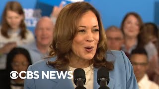 Kamala Harris economy plan includes housing aid child tax credit proposals [upl. by Ferren]