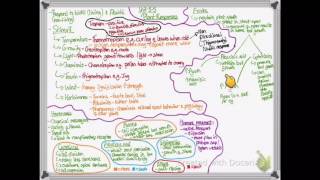 OCR A LEVEL BIOLOGY  UNIT 55 PART 1  PLANT RESPONSES [upl. by Ruyle]