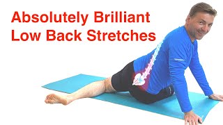 The Best Low Back Stretches  Lower Back Pain Relief Routine With FREE Exercise Sheet [upl. by Anthony]