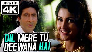 Dil Mere Tu Deewana Hai Male 4K Video  Amitabh Bachchan  Sooryavansham  Kumar Sanu  Anu Malik [upl. by Ryun]