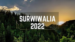 Surwiwalia 2022 wiedza i praktyka [upl. by Leimaj964]