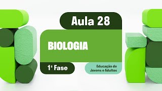 Biologia  Aula 28  Relação entre genótipo e fenótipo [upl. by Falkner]