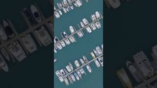 Airlie Beach airliebeach travel adventure trendingshorts viralshorts fyp drone [upl. by Ulane550]