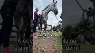 Ile godzin jesteście w stajni 😝horseriding horserider [upl. by Yirinec]