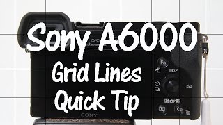 Sony A6000 and A6300 Quick Tip  Grid Lines [upl. by Marje]