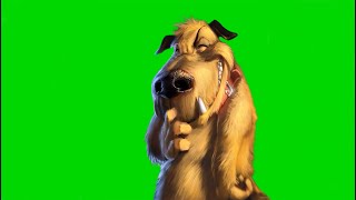 RISA DEL PERRO PULGOSO 3D CHROMA KEY [upl. by Airpac]