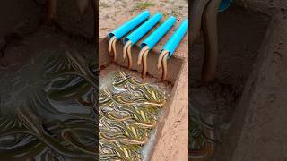 Survival Skills Simple But Very Useful with eel trap shorts survival bushcraft outdoors [upl. by Ag]