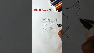 Bald Eagle Drawing eagles birdslover birds drawing [upl. by Tychonn]