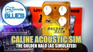 Caline Acoustic Golden Haloquot Guitar Simulator AC Simulator Pedal [upl. by Caye]