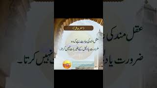 hazrat Ali quotes اقوال زرین quotes [upl. by Anifad258]